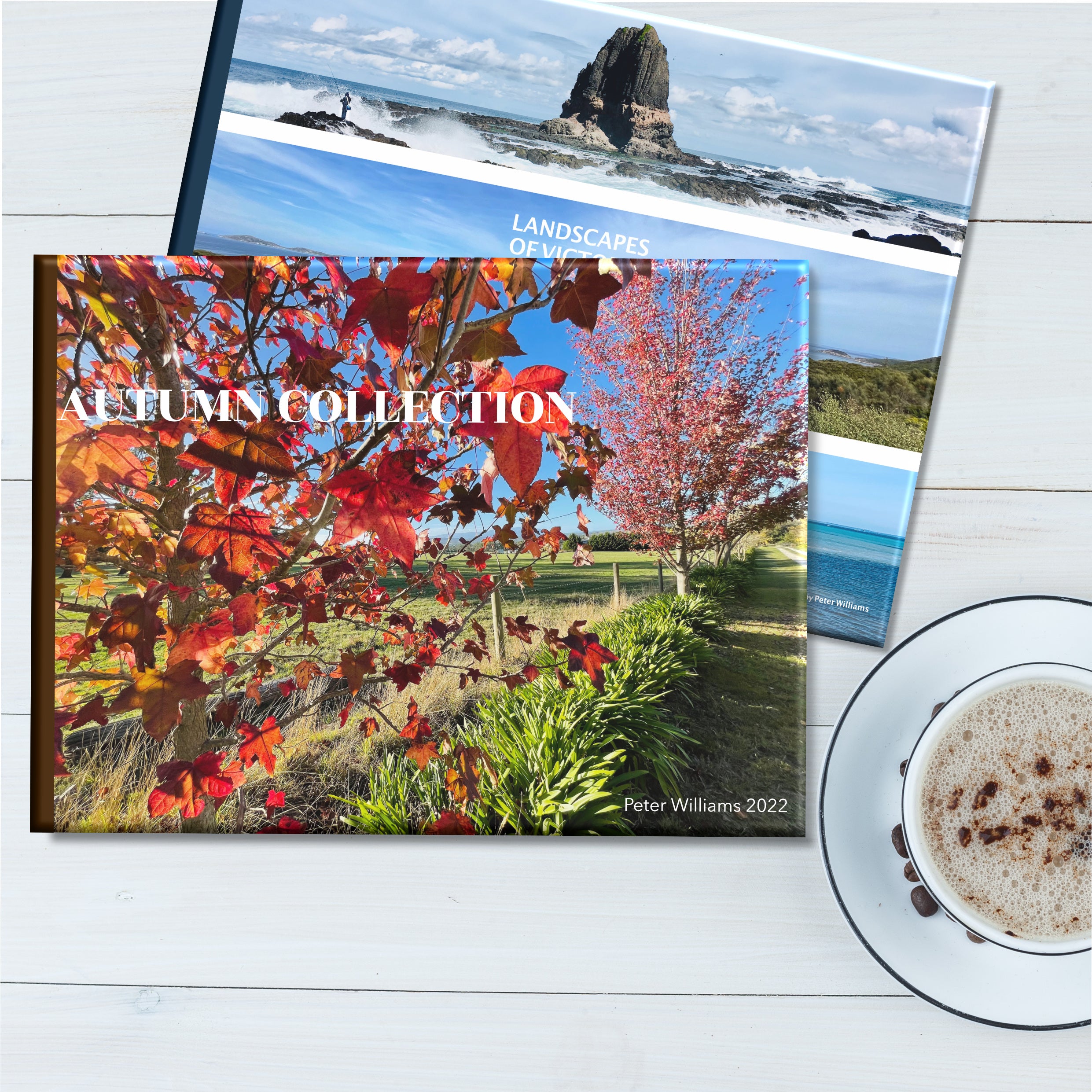 Display of two photo books, one with dazzling autumn foliage and the other, seascapes