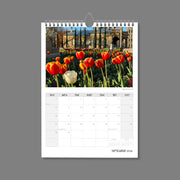 A4 Wall Calendar: Golden Hour featuring a bed of tulips sun tipped in foreground and old building blurred in background