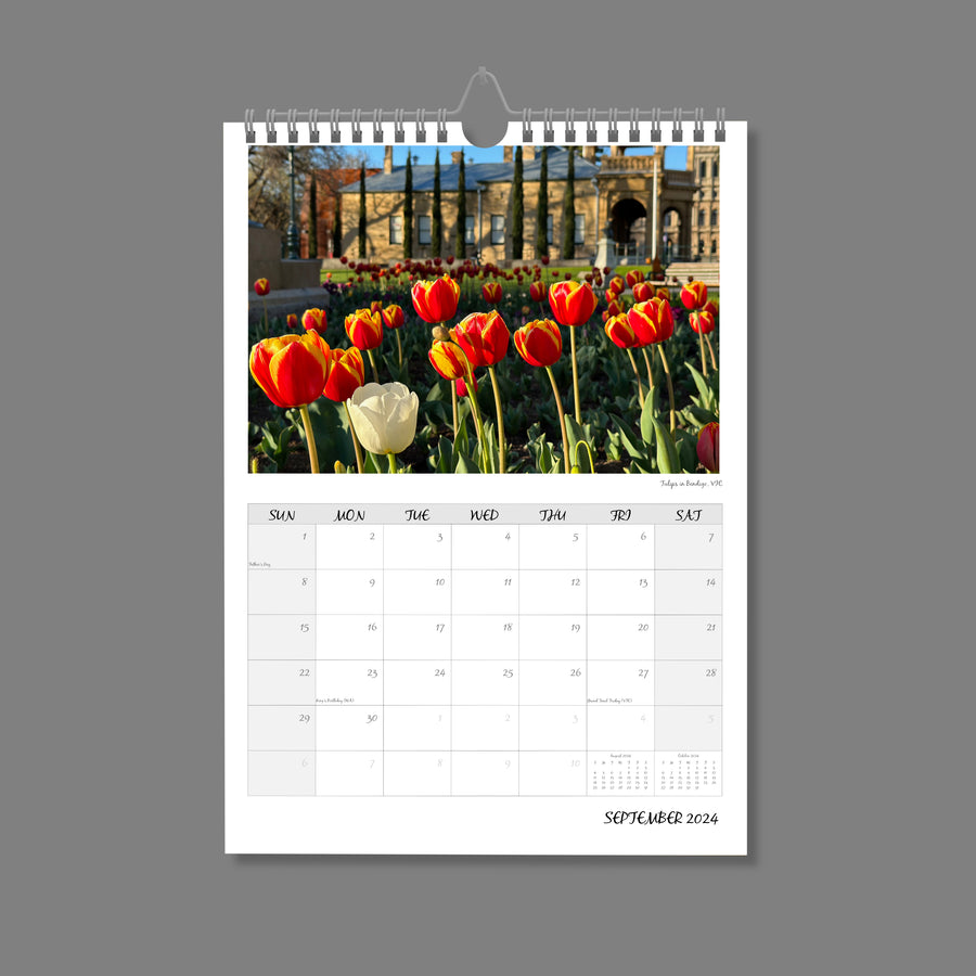 A4 Wall Calendar: Golden Hour featuring a bed of tulips sun tipped in foreground and old building blurred in background