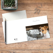 A small square birthday card in colour with full spread displayed on timber, featuring an adorable Jack Russell pooch resting