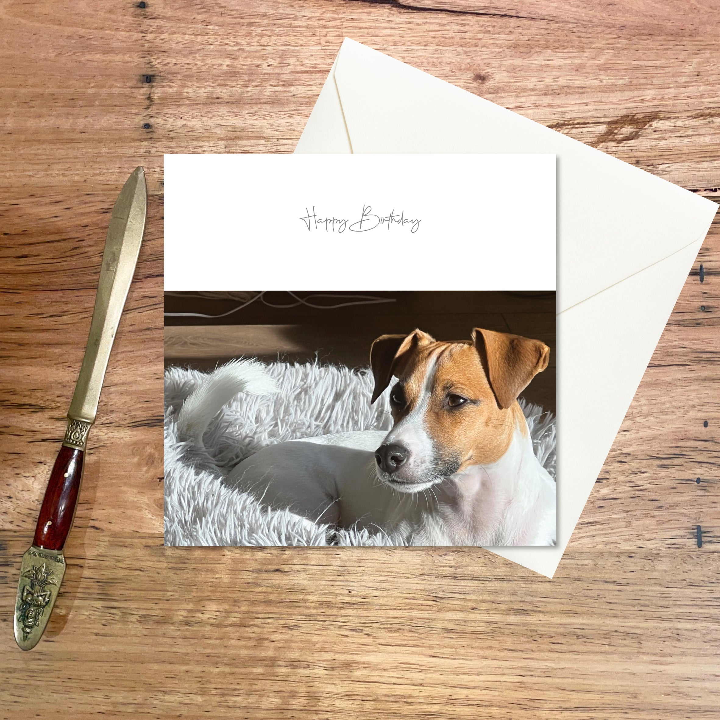 Birthday Greeting Card: Relaxing Jack features an adorable Jack Russell pooch resting in a comfortable basket