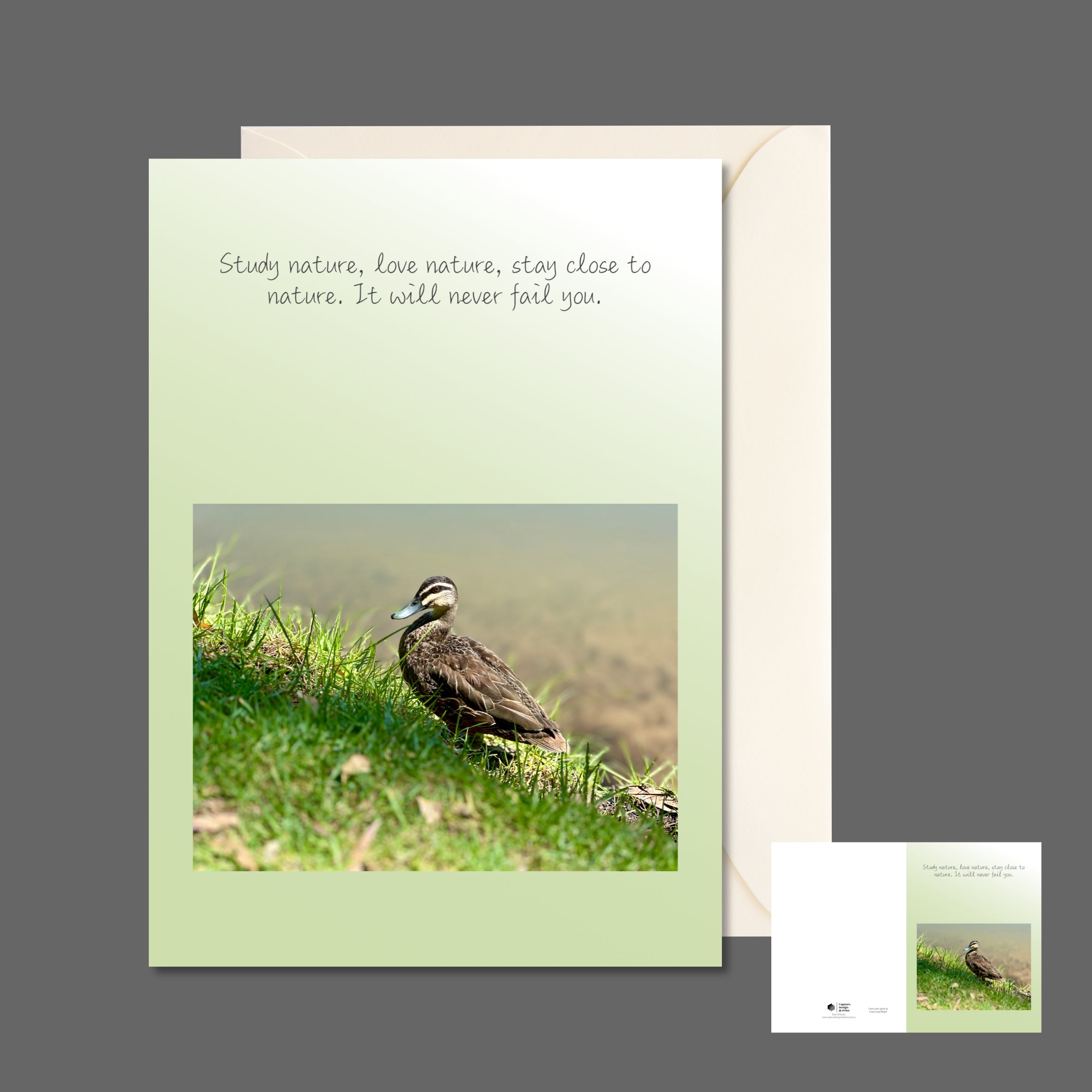 A6 greeting card featuring a lone duck perched on the grassy riverbank and also a full spread view