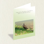 Designer Greeting Card: Duck Perching, an A6 card featuring a duck sitting on the grassy slope and a soulful message to complement