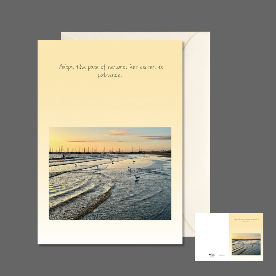 A6 greeting card featuring  gulls wading in the foreshore waters in a main front side view and also a full spread view