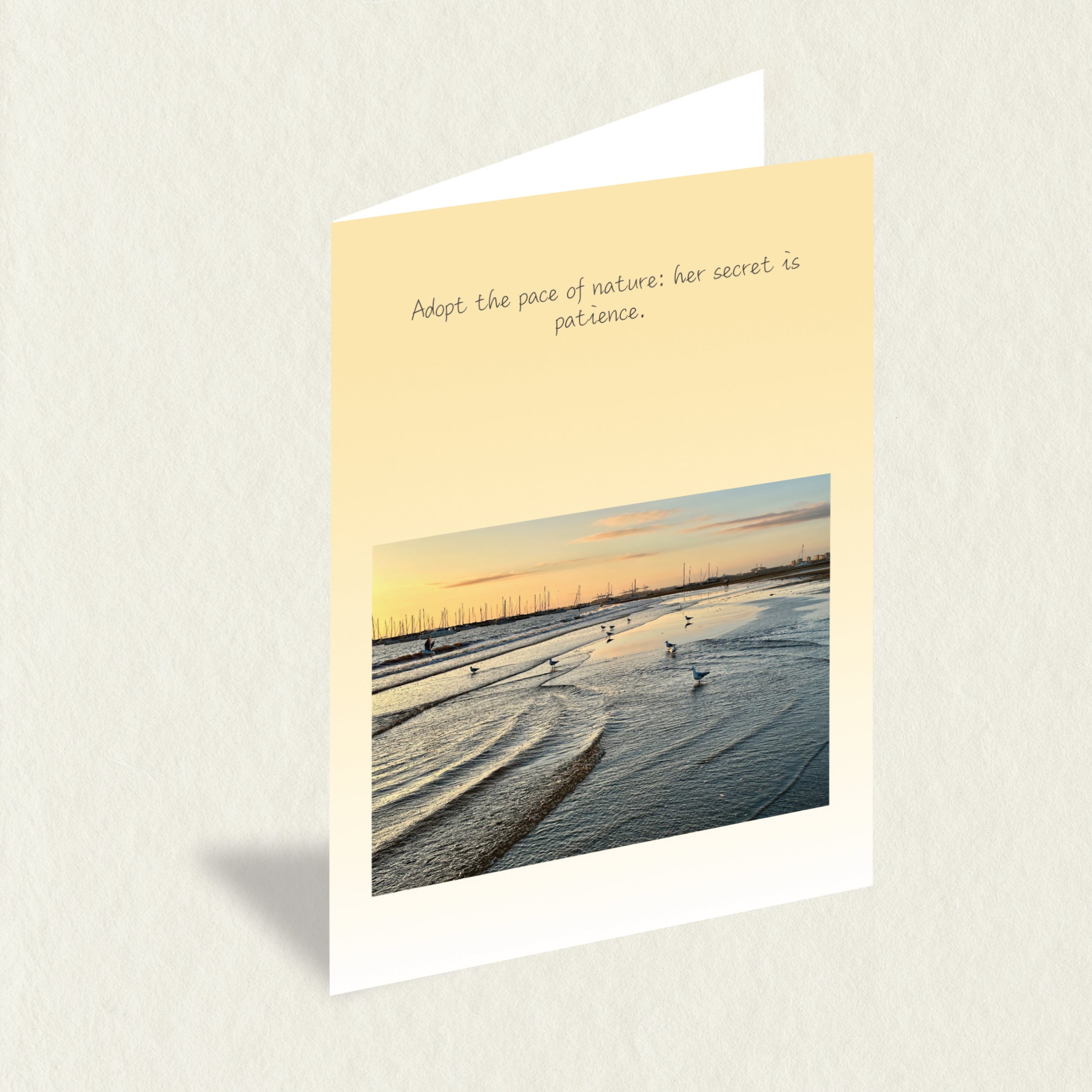 Designer Greeting Card: Gulls Wading, an A6 card featuring gulls wading on the foreshore with a golden sky and a soulful message to complement