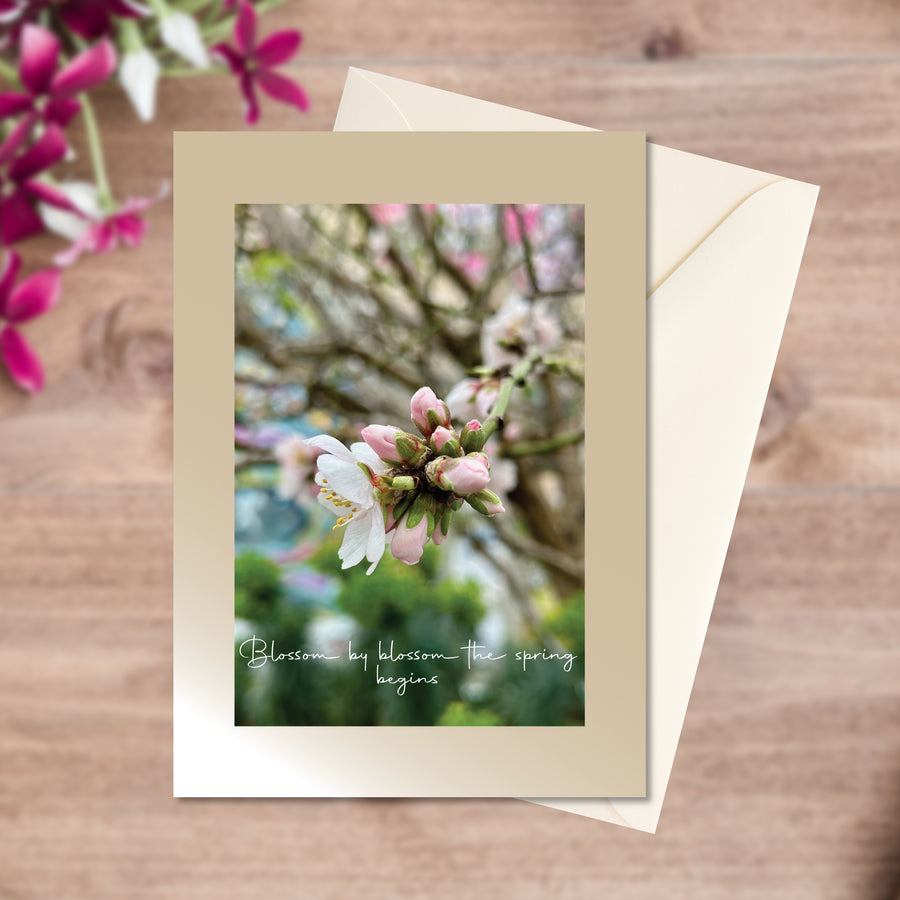 A6 greeting card of a single white almond blossom bursting to life against a blurred background in flat-lay with envelope 