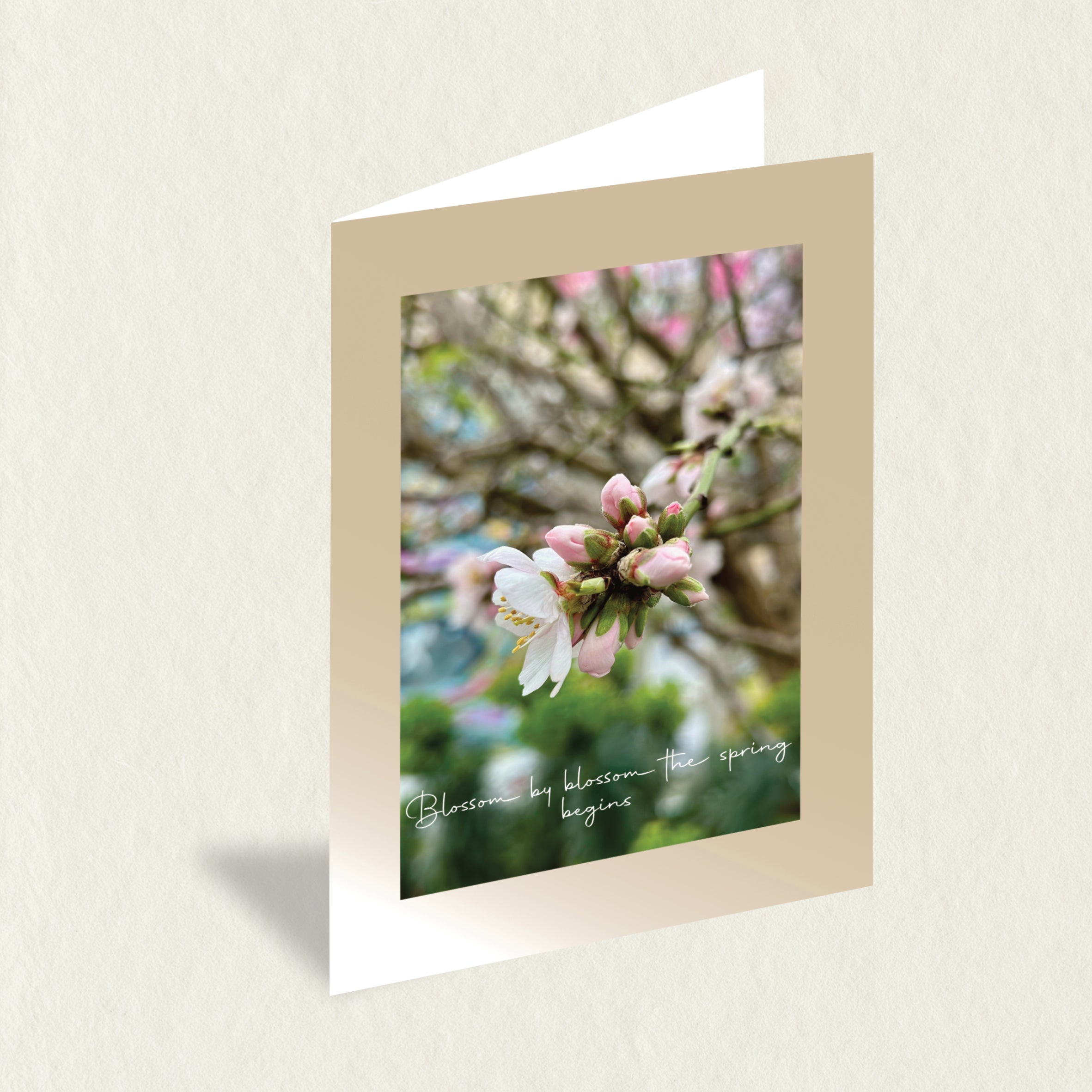 Designer Greeting Card: Spring Blossom features a single white almond blossom bursting to life against a blurred background