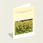 Designer Greeting Card: Strawflowers, an A6 card featuring a bunch of graceful golden flowers and a soulful message to complement