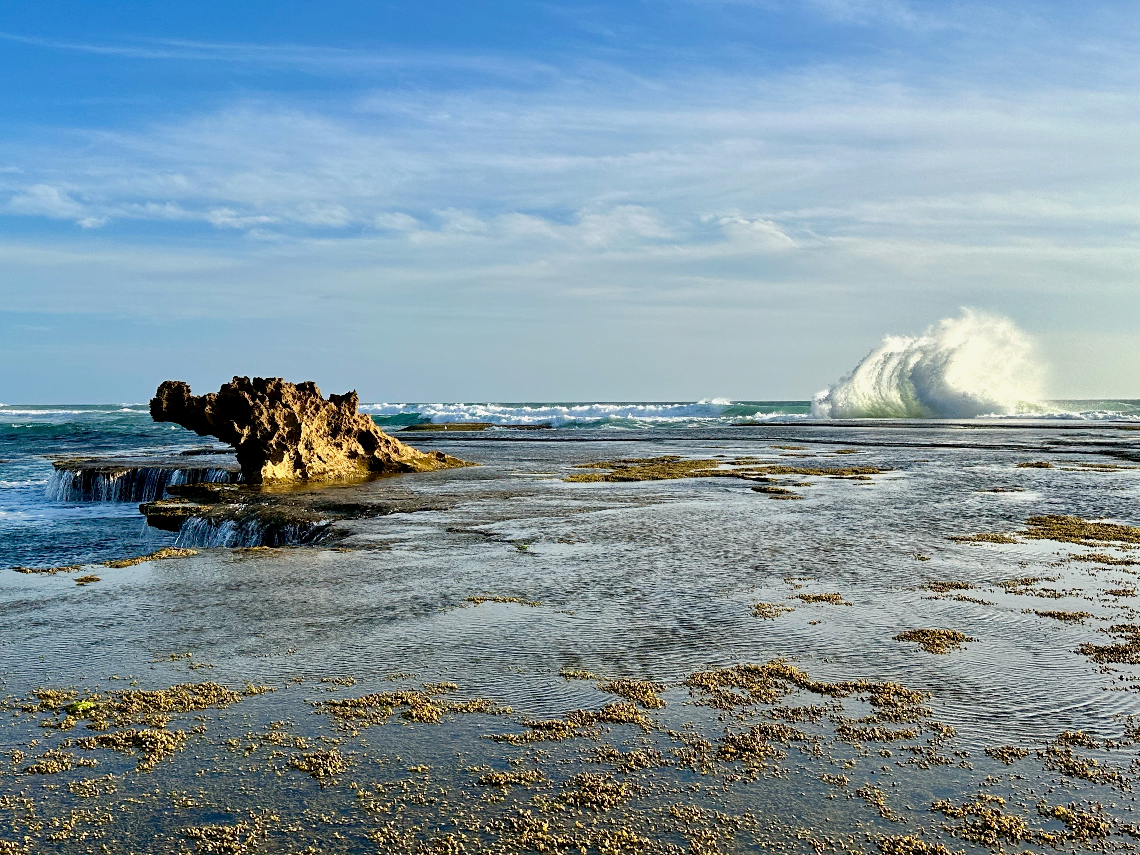 a dragon shaped rock formation on the reef and a wave crashing in the background