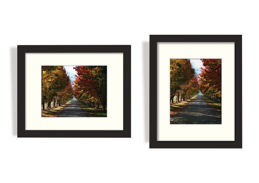 Two finalised picture frames side by side with two different perspectives of the rural lane of autumn trees