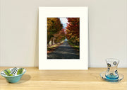 Frame mount containing a colour print of a lane of colourful autumn trees sitting upright on a sideboard