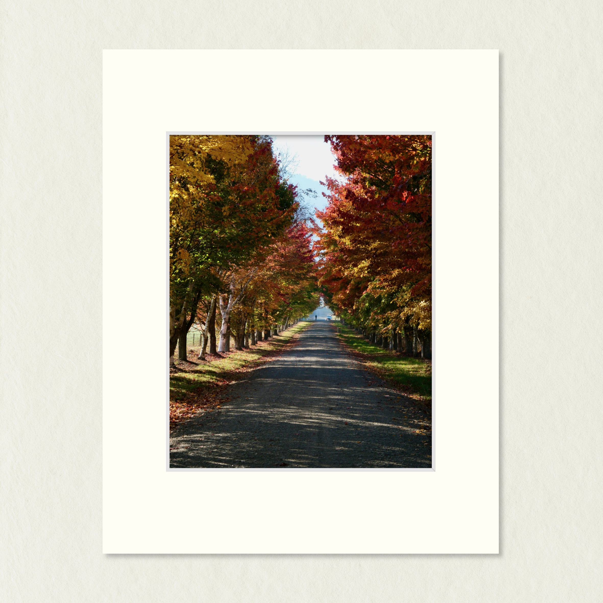 Ready to Frame Print: Autumn Bright - a frame mount containing a photo of a lane of trees with autumn colour converging into the distance