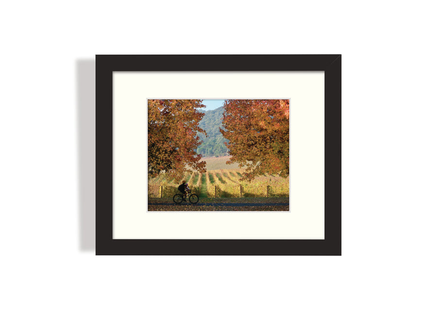 Frame mount with print of a rider surrounded by autumn foliage and vines in finalised picture frame hanging on wall