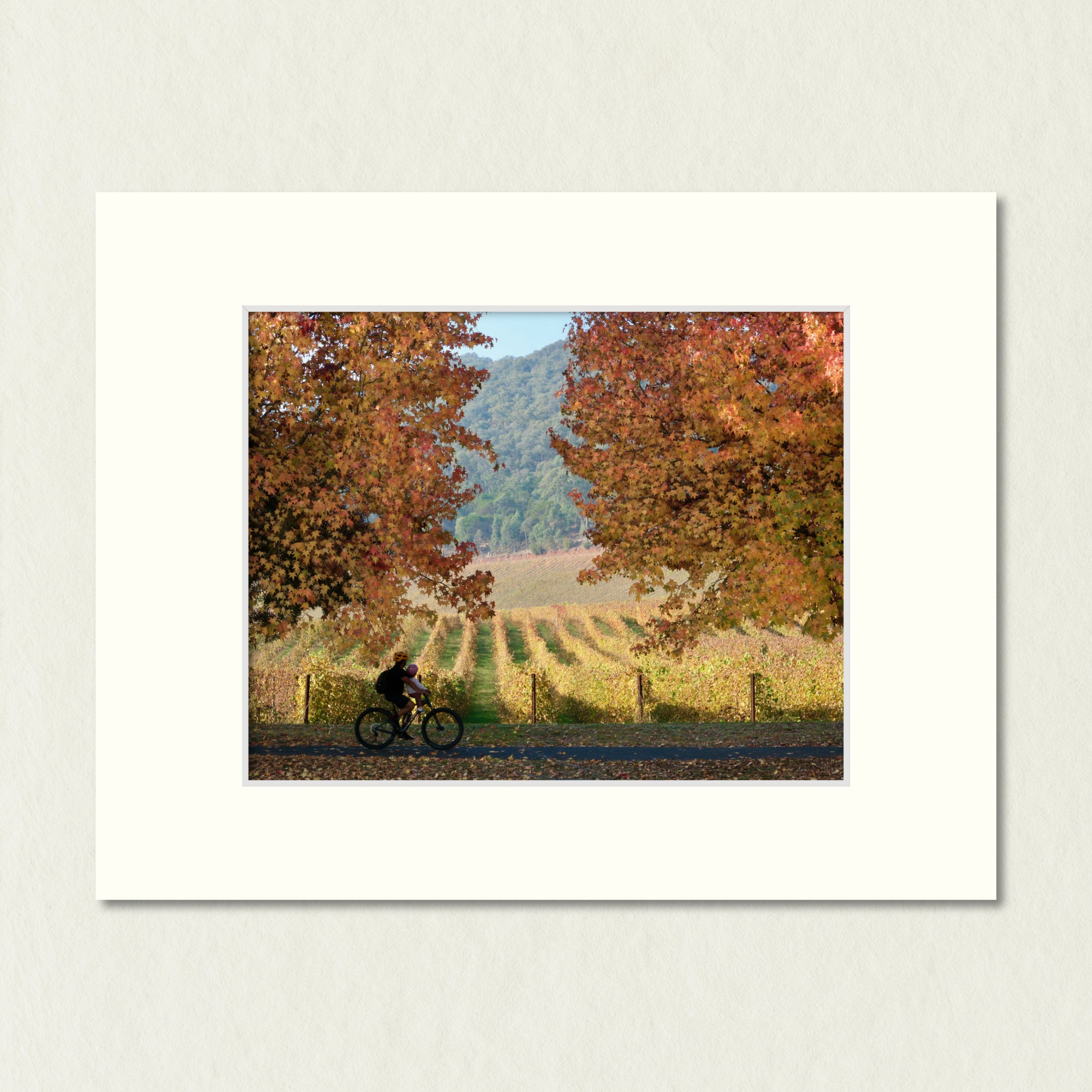 Ready to Frame Print: Autumn Feathertop - a frame mount containing a photo of a rider travelling on a path between autumn foliage and grapevines