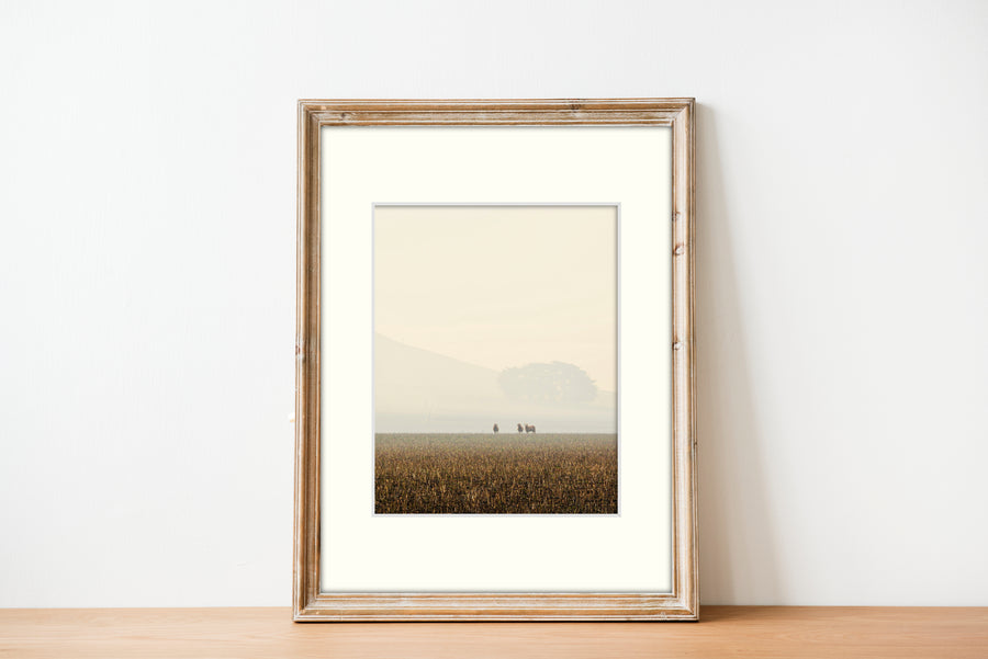 Frame mount with print of 3 sheep far away in a paddock with a smoke haze in finalised picture frame sitting on sideboard 