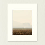 Ready to Frame Print: Hazy Pastoral - a frame mount containing a photo of 3 sheep in a pasture which is shrouded in a light smoke haze