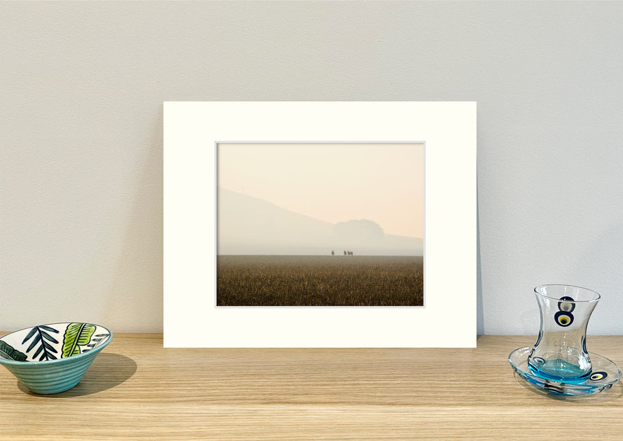 Frame mount containing a colour print of 3 sheep far away in a pasture with a smoke haze sitting upright on sideboard