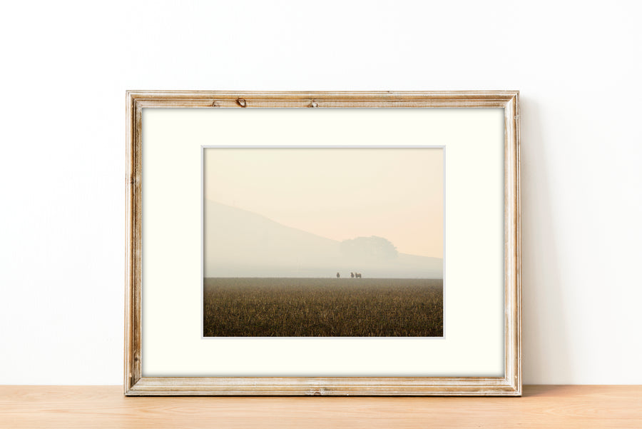 Frame mount with print of 3 sheep far away in a pasture with a smoke haze in finalised picture frame sitting on sideboard 