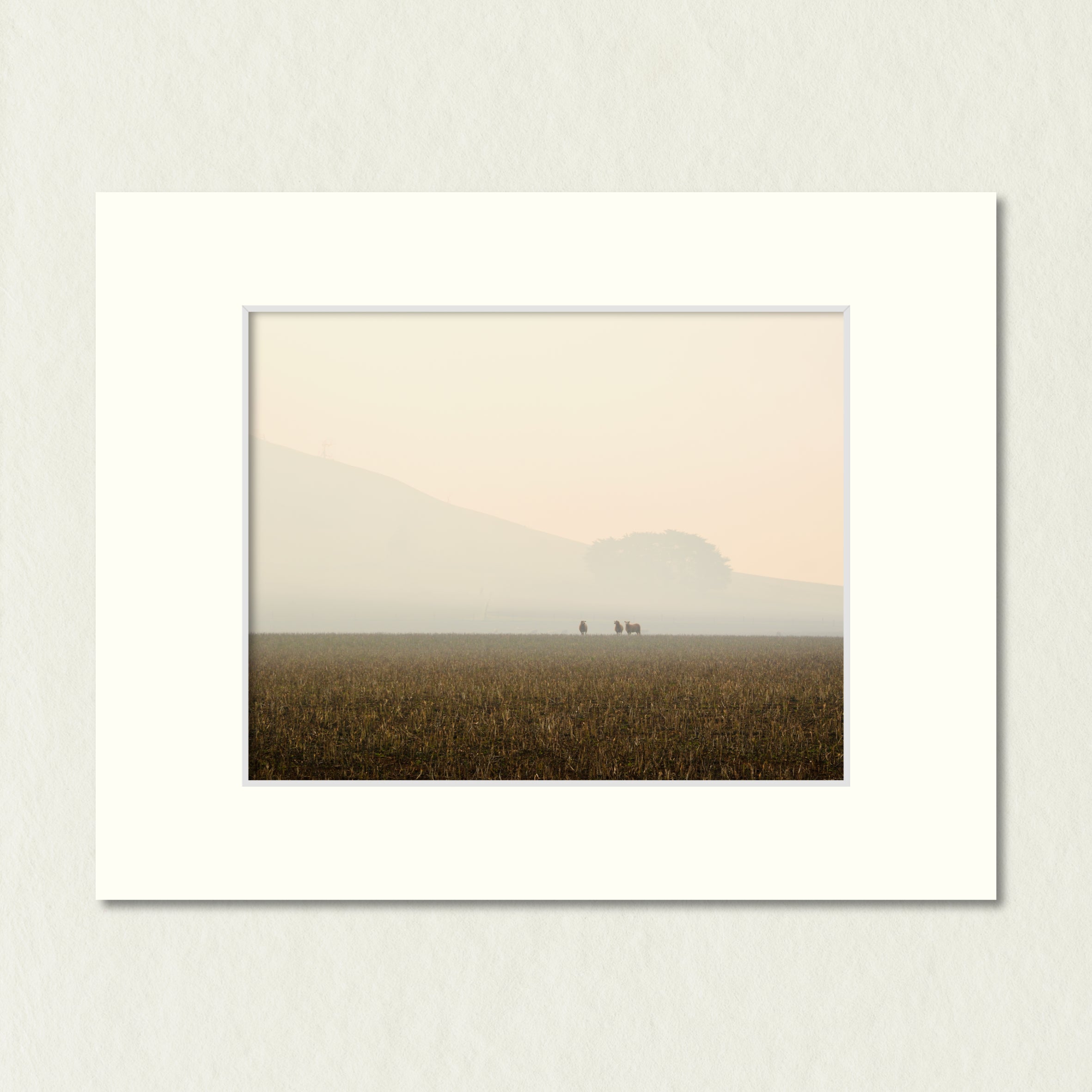 Ready to Frame Print: Hazy Pastoral - a frame mount containing a photo of 3 far away sheep in a pasture which is shrouded in a smoky haze