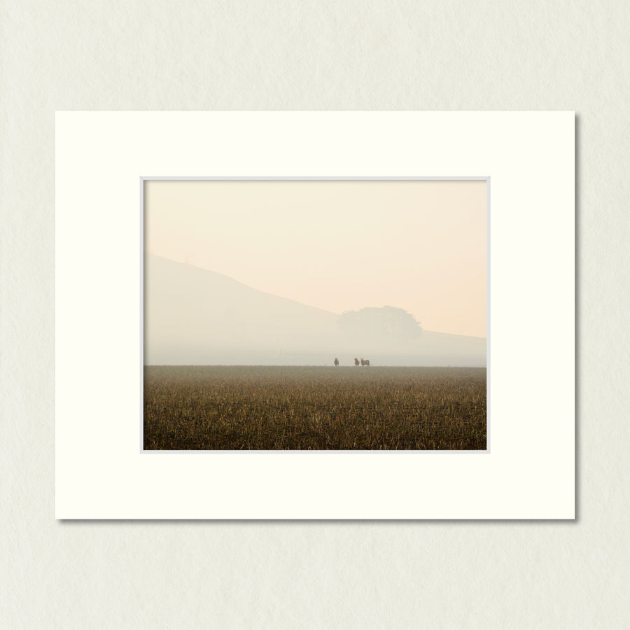 Ready to Frame Print: Hazy Pastoral - a frame mount containing a photo of 3 far away sheep in a pasture which is shrouded in a smoky haze