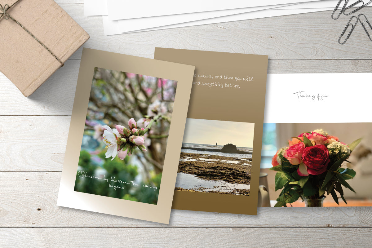 Three samples of colourful greeting cards on display with small parcel and paper clips adjacent