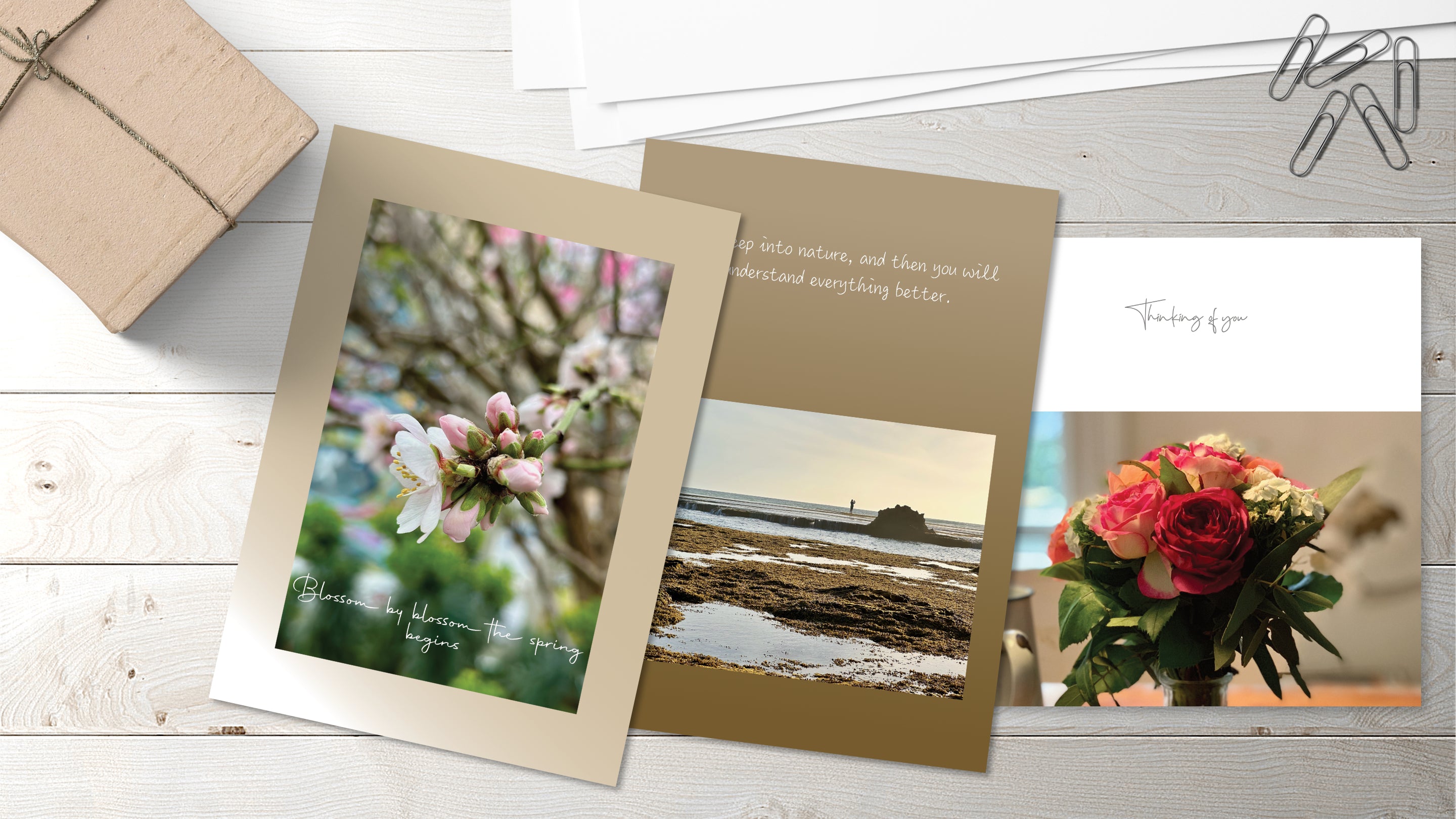 Three samples of colourful greeting cards on display