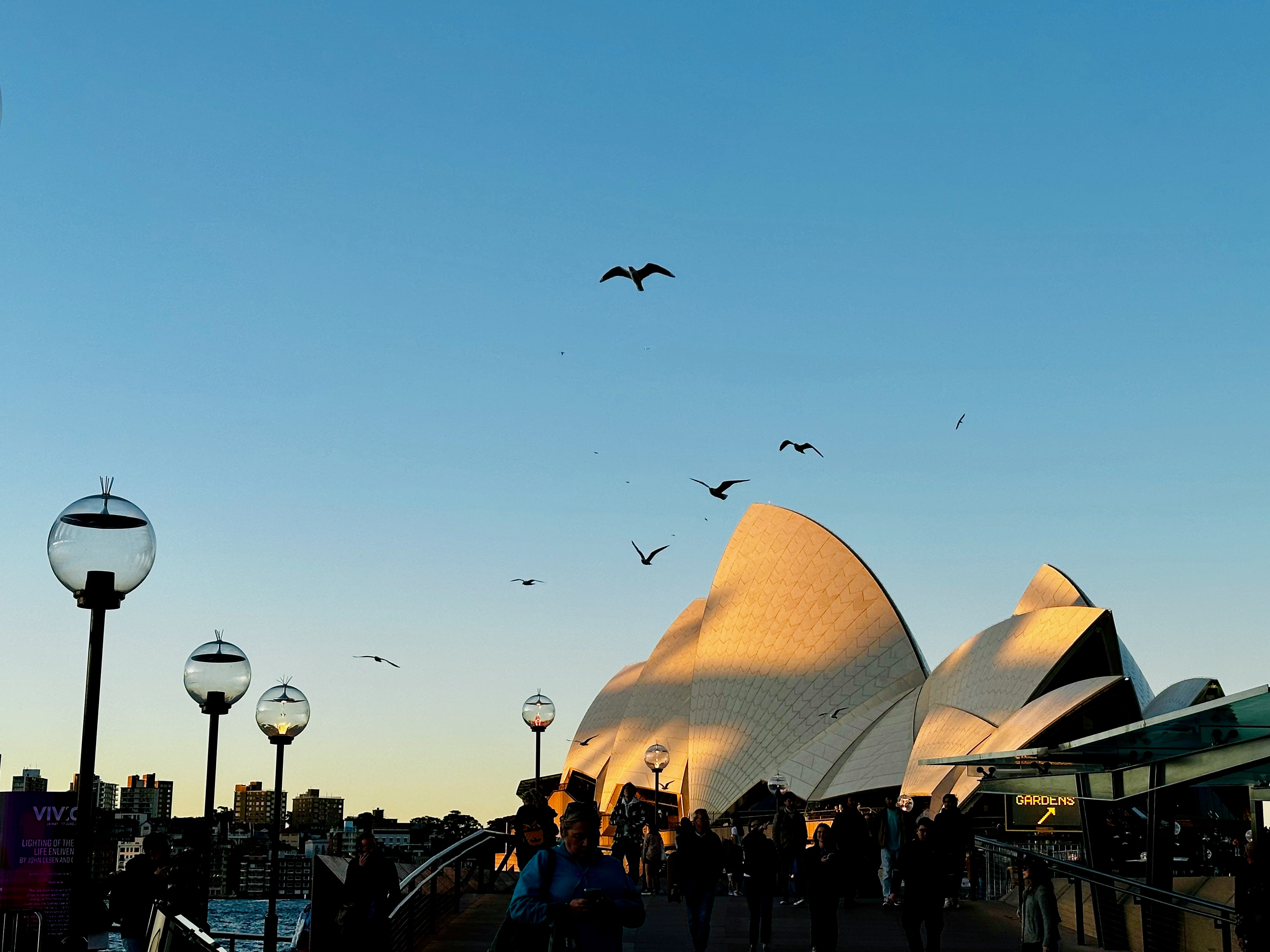 Sydney Opera House sunlit at dusk against a beautiful blue sky with birds flying